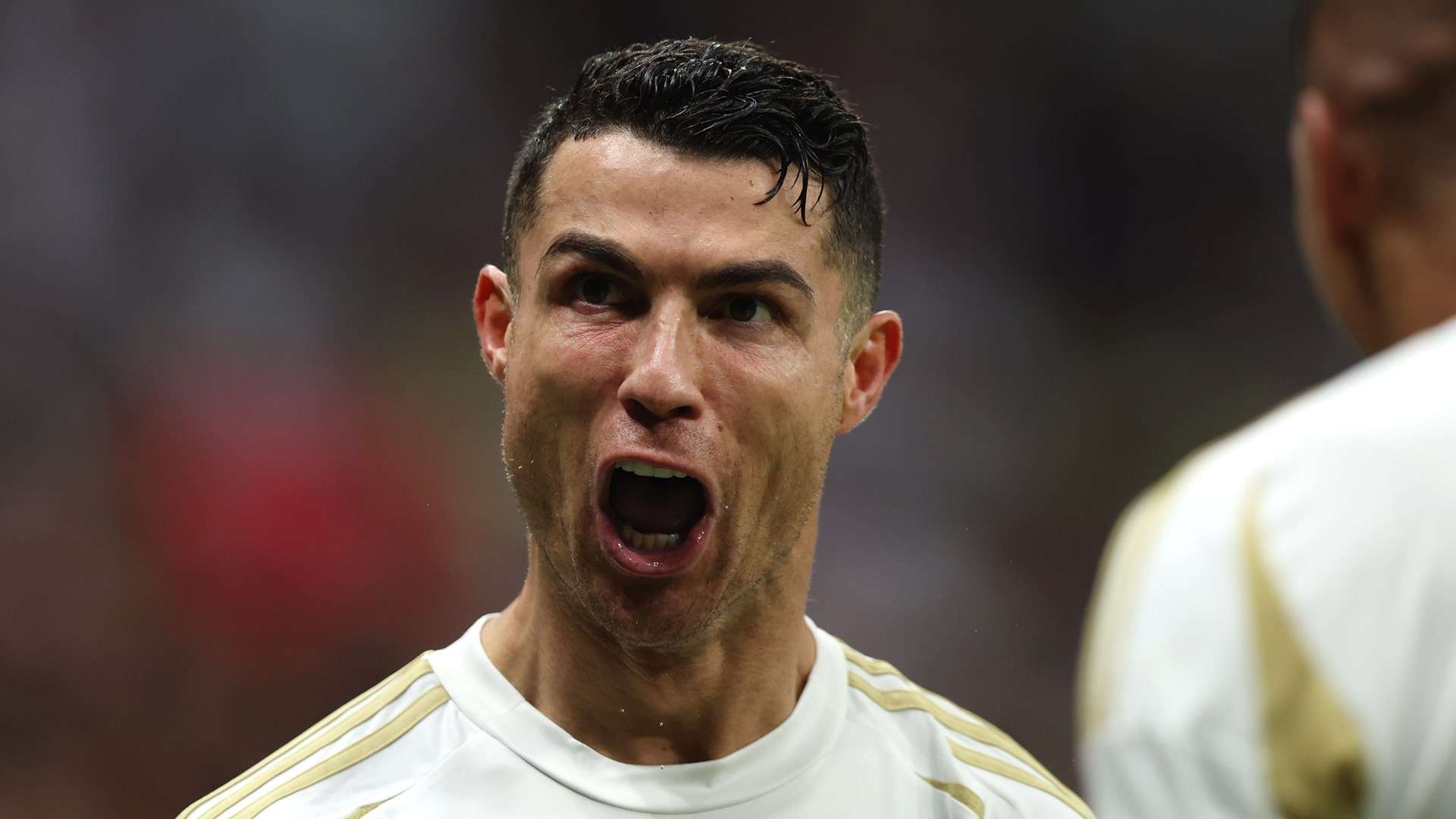 黄蜂的比赛 黄蜂的比赛